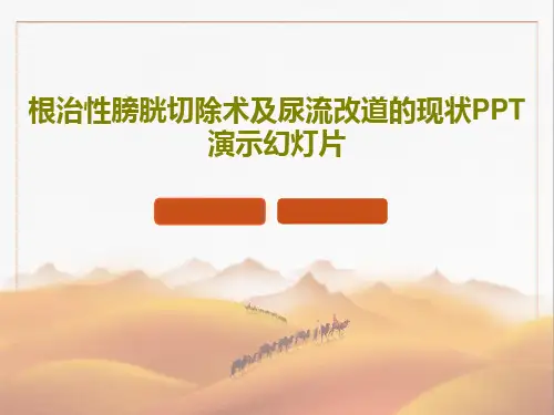 根治性膀胱切除术及尿流改道的现状PPT演示幻灯片共19页