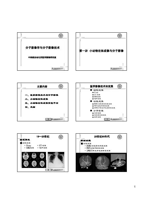 分子影像学与分子影像技术第一讲小动物在体成像与分子影像