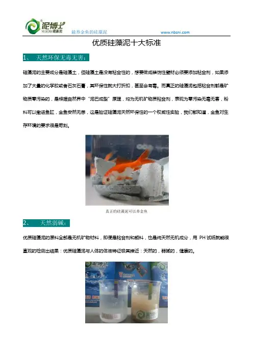 真硅藻泥十大标准