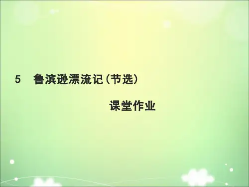 2020年春期新人教部编版六年级下册语文练习课件-5 鲁滨逊漂流记(节选)课堂作业