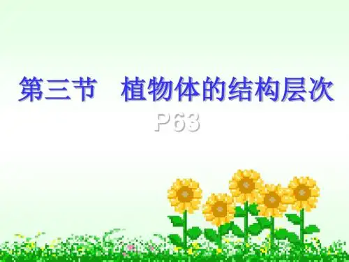 植物体的结构层次