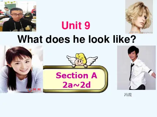 初中英语人教版七年级下册Unit9SectionA2a-2d