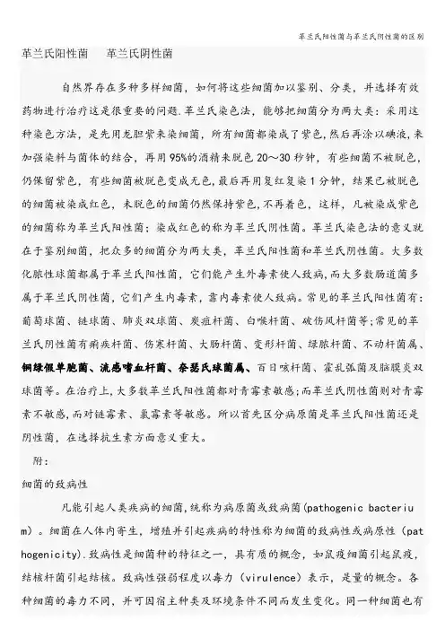 革兰氏阳性菌与革兰氏阴性菌的区别