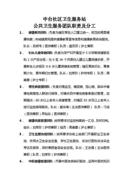 公共卫生服务团队职责及分工