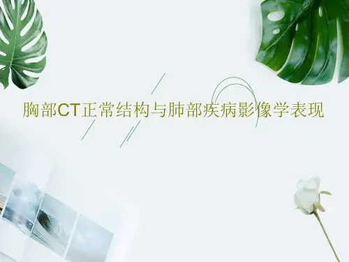 胸部CT正常结构与肺部疾病影像学表现82页PPT