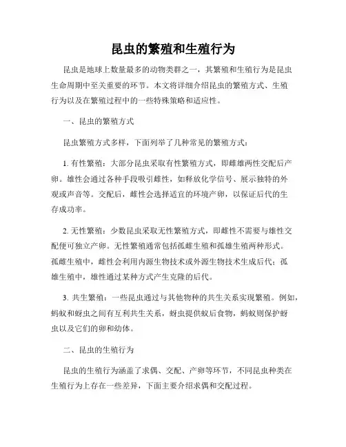昆虫的繁殖和生殖行为