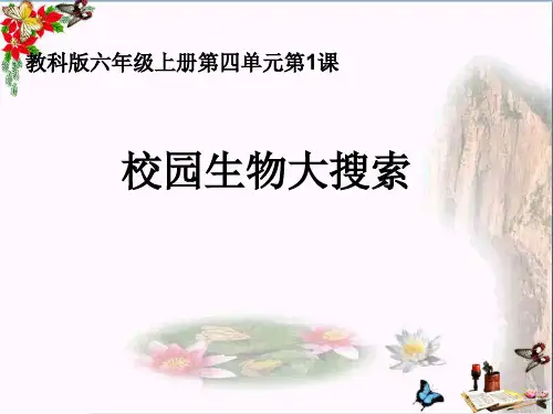 最新六年级科学上册4.1校园生物大搜索3教科版优选教学课件