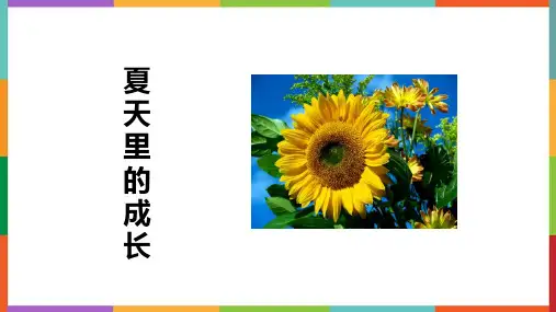 最新统编部编版语文六年级上册《夏天里的成长》精品教学课件