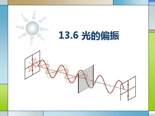 光的偏振