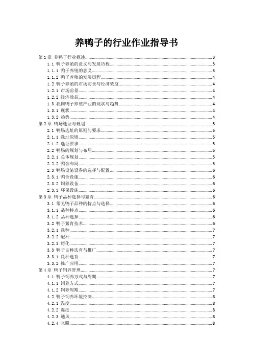 养鸭子的行业作业指导书
