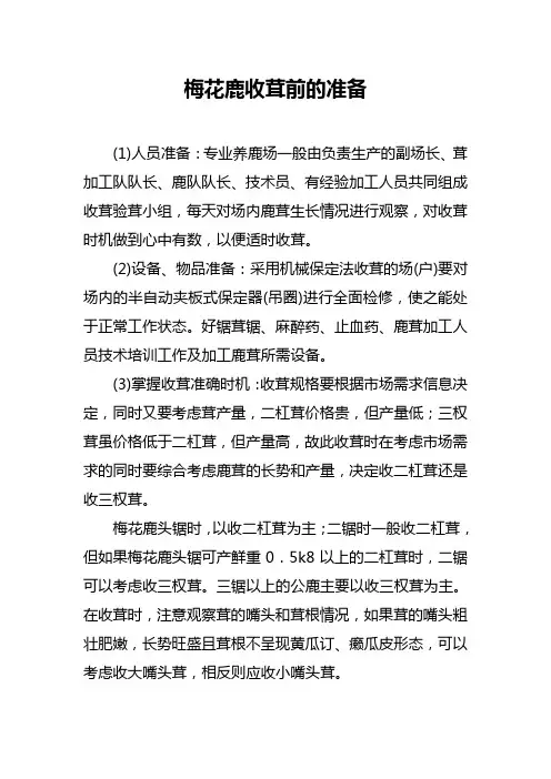 梅花鹿收茸前的准备