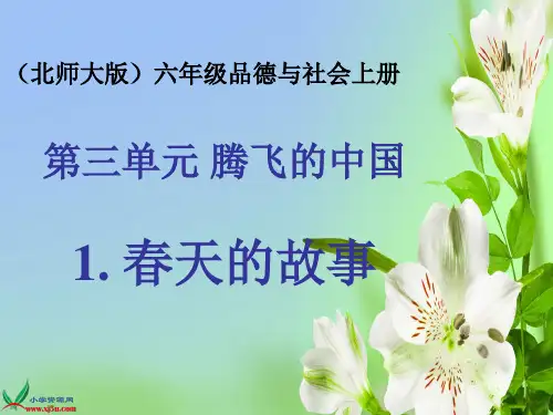 北师大版小学品德六年级品德与社会上册课件春天的故事-四大件的变迁(2)