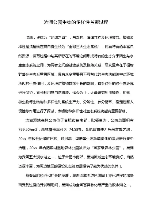 滨湖公园生物的多样性考察过程