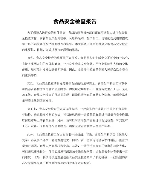 食品安全检查报告