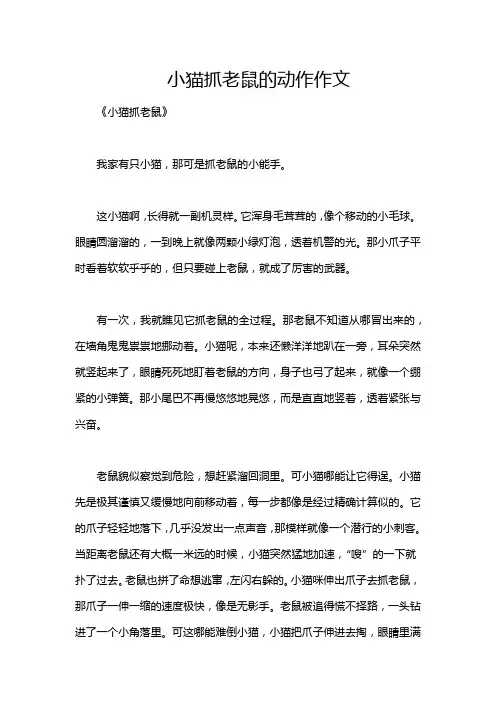 小猫抓老鼠的动作作文
