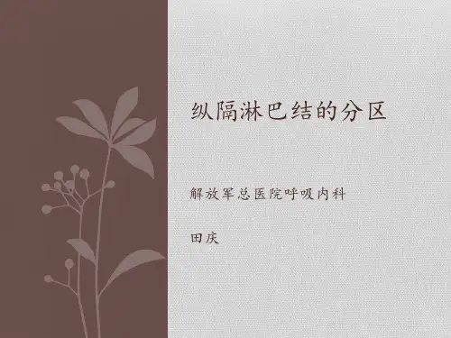 纵隔淋巴结的分区