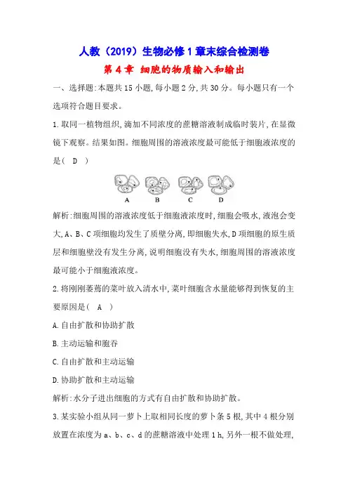 人教(2019)生物必修1综合检测卷：第4章 细胞的物质输入和输出 章末综合检测(含答案详解)