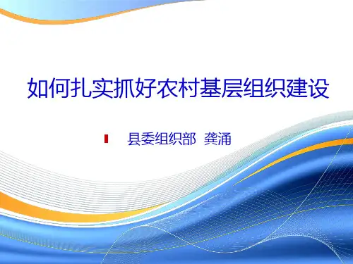 如何扎实抓好农村基层组织建设.ppt