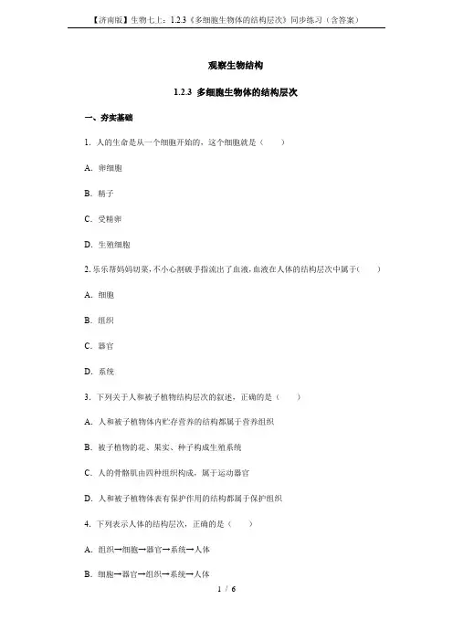 【济南版】生物七上：1.2.3《多细胞生物体的结构层次》同步练习(含答案)
