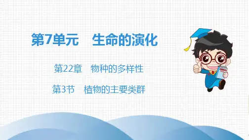 北师大版八年级全册生物第7单元第22章第3节植物的主要类群
