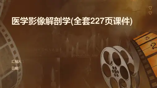 医学影像解剖学(全套227页课件)