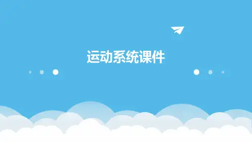 运动系统课件