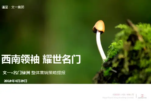 合富辉煌2019年合肥文一·名门绿洲整体营销的策略提报