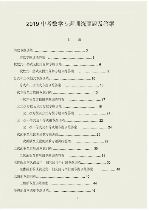 2019中考数学专题训练真题及答案