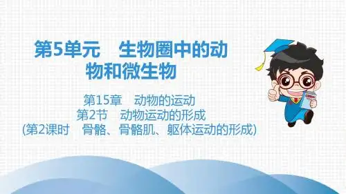 北师大版八年级全册生物第5单元第15章第2节(第2课时骨骼、骨骼肌、躯体运动的形成)