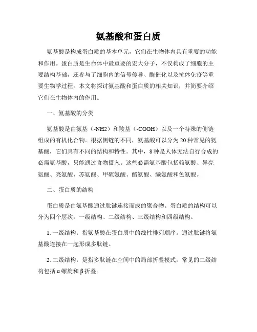 氨基酸和蛋白质