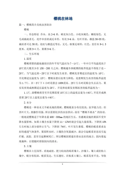 樱桃在林地