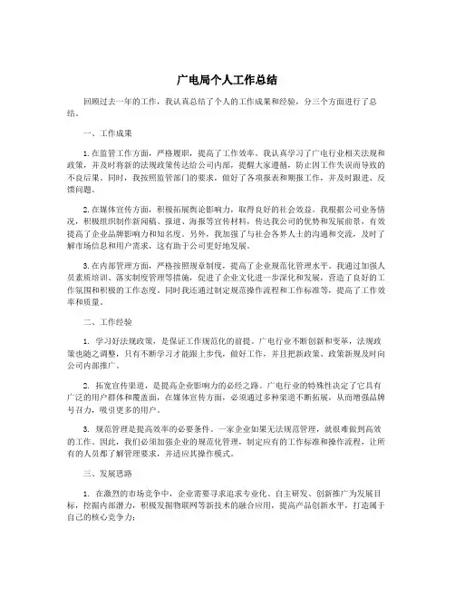 广电局个人工作总结