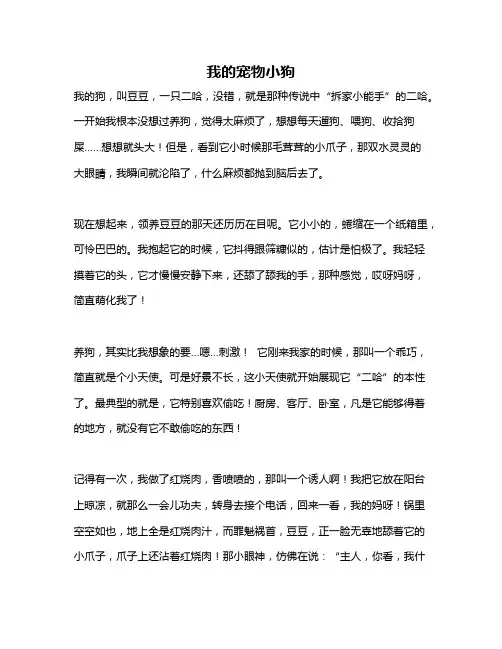 作文《我的宠物小狗》