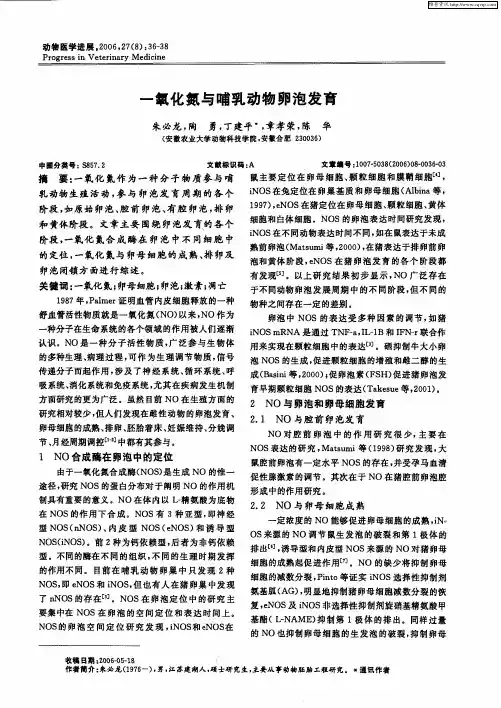 一氧化氮与哺乳动物卵泡发育