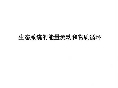 生态系统的能量流动和物质循环(15张PPT)