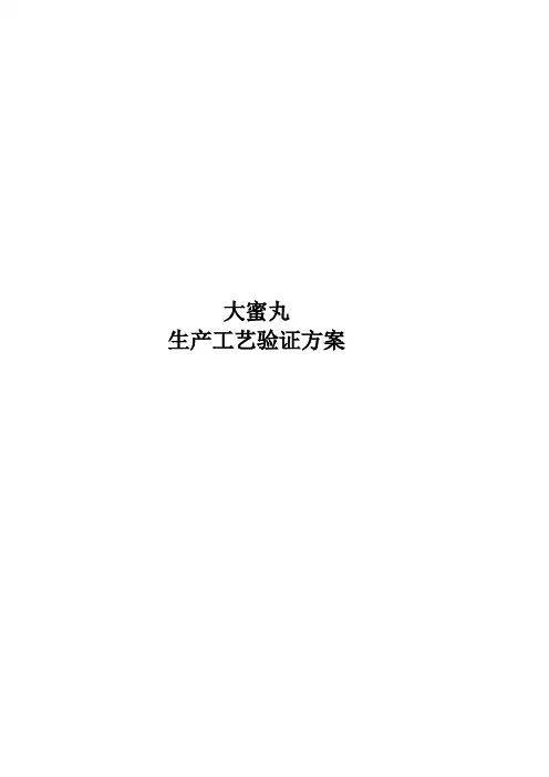 大蜜丸验证方案
