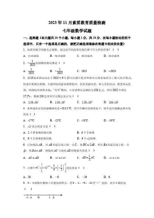 山东省菏泽市曹县2023-2024学年七年级上学期期中数学试题(含解析)