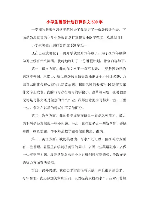 2020年小学生暑假计划打算作文600字
