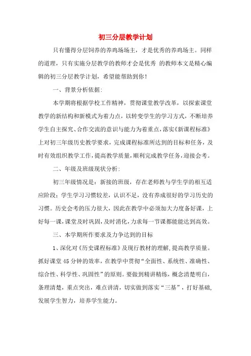 2020年初三分层教学计划