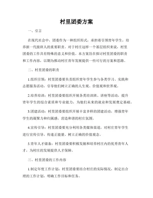 村里团委方案