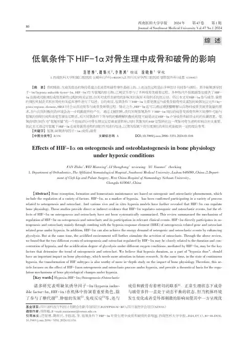 低氧条件下HIF-1α对骨生理中成骨和破骨的影响