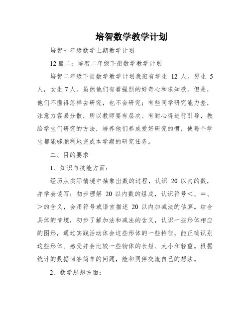 培智数学教学计划