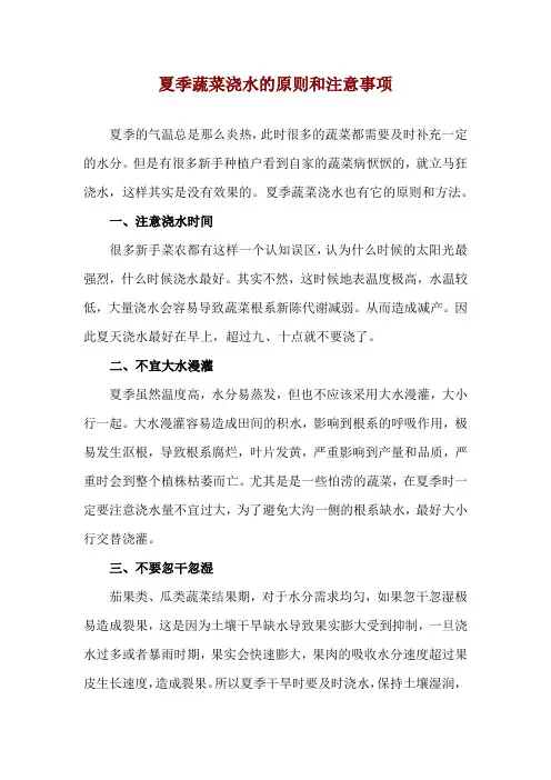 夏季蔬菜浇水的原则和注意事项