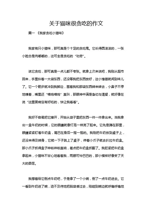 关于猫咪很贪吃的作文