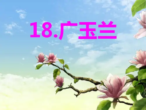 六年级下册语文优秀课件-课文18《广玉兰》苏教版张洁共16张PPT