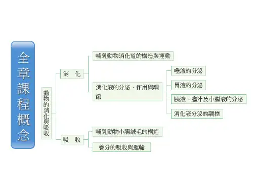 生物：消化 (2)