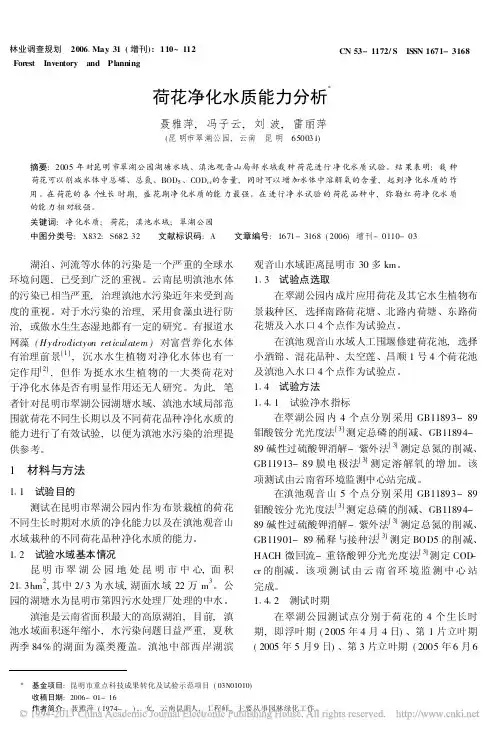 荷花净化水质能力分析