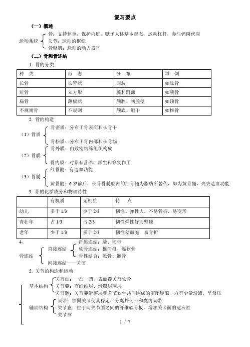 解剖学复习要点