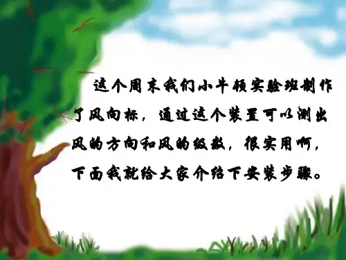 小课题制作风向标