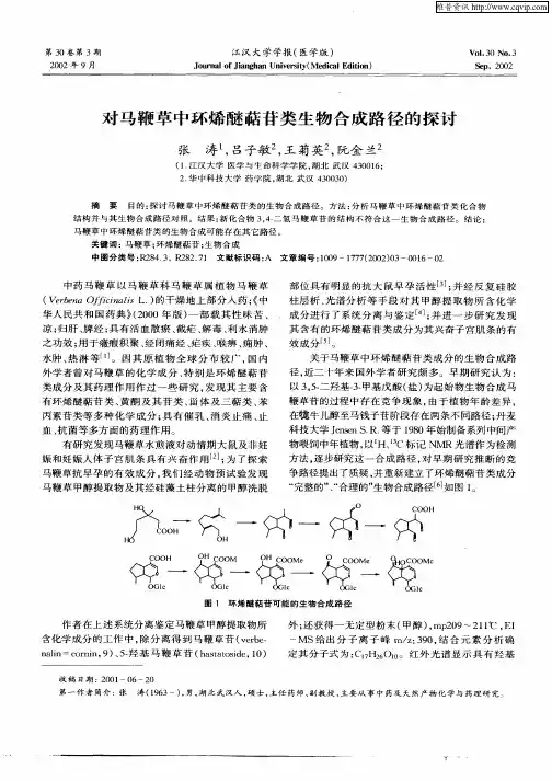 对马鞭草中环烯醚萜苷类生物合成路径的探讨